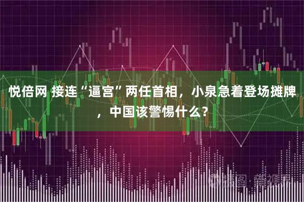 悦倍网 接连“逼宫”两任首相，小泉急着登场摊牌，中国该警惕什么？