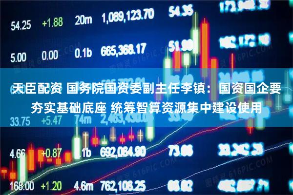 天臣配资 国务院国资委副主任李镇：国资国企要夯实基础底座 统筹智算资源集中建设使用